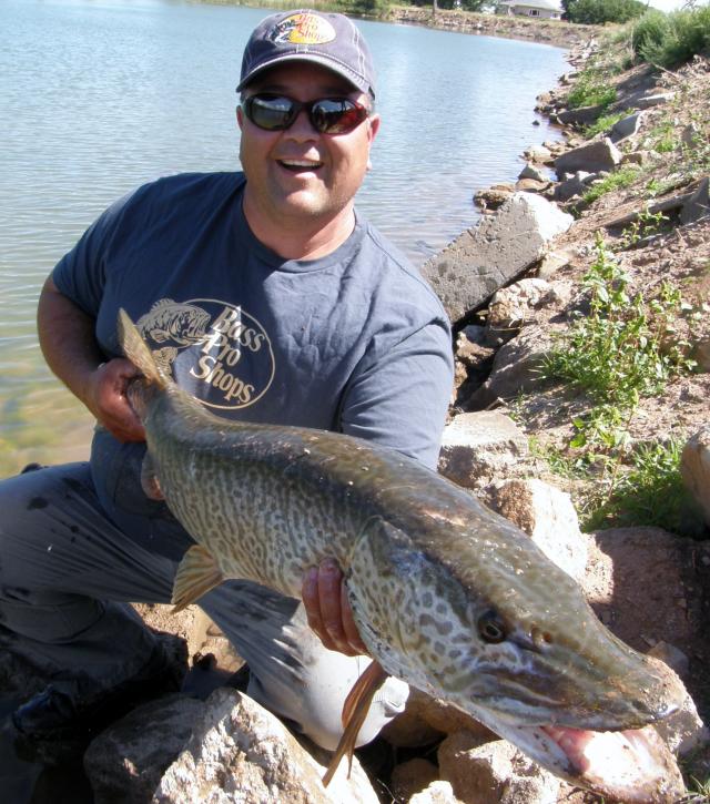 http://www.fishing.kz/forums/data/MetaMirrorCache/cdn2.content.compendiumblog.com_uploads_user_a4e707ba_e52c_41eae0a94bb6dbb2f7635e0d90321d83e50.jpeg