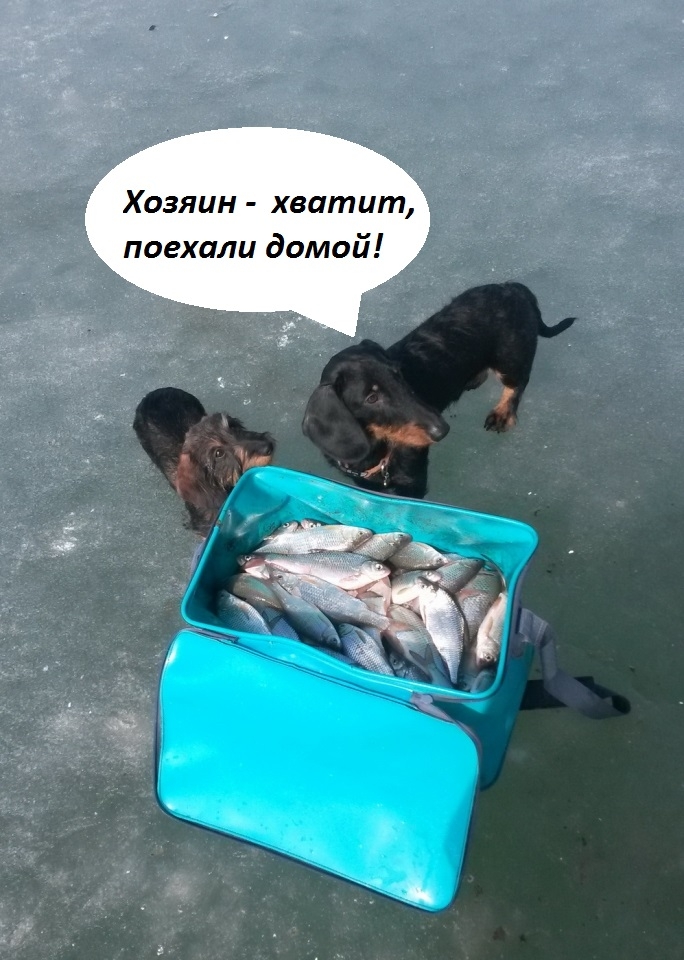 http://www.fishing.kz/forums/data/MetaMirrorCache/fishing.kz_forums_data_photos_l_14_14474_1395802017_b2e4c8debb4001ae4f3634681b026772.jpg