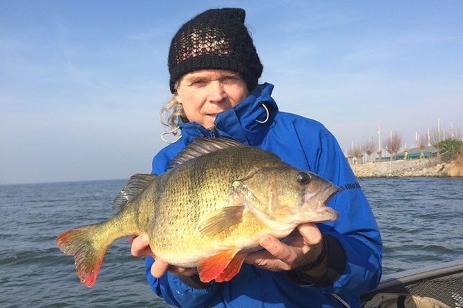 http://www.fishing.kz/forums/data/MetaMirrorCache/www.fgids.com_img_content_news_img_04_14_main___willem3kgperch.jpg