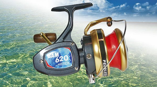 http://www.fishing.kz/forums/data/MetaMirrorCache/www.norstream.ru_media_filemanager_bam_0.jpg