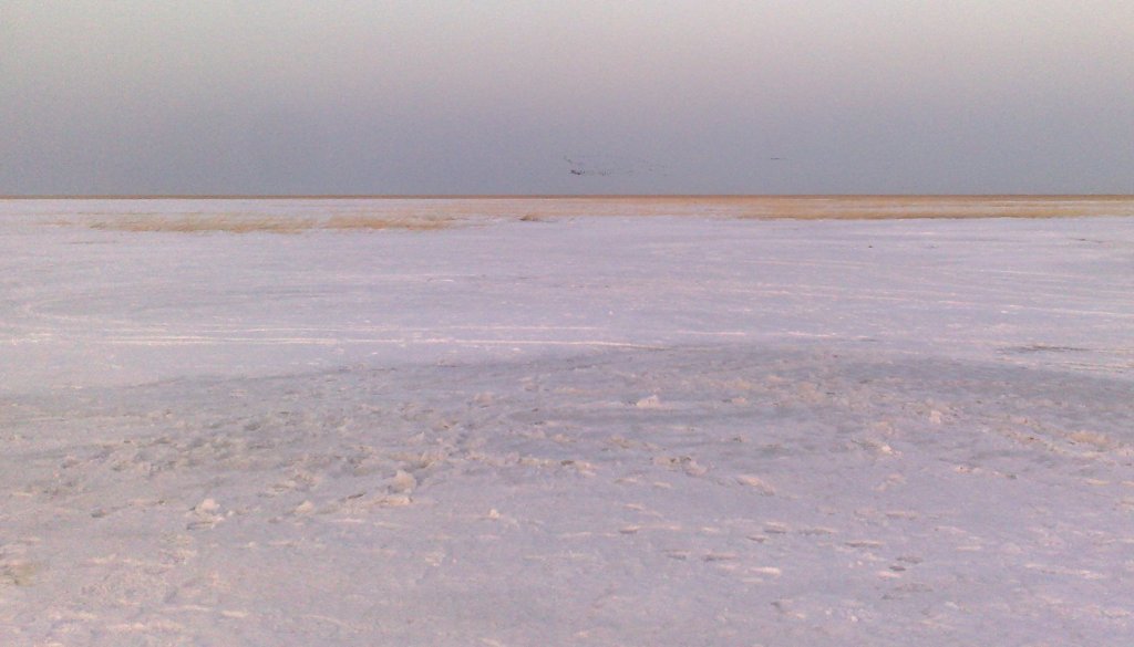 050420155330.jpg