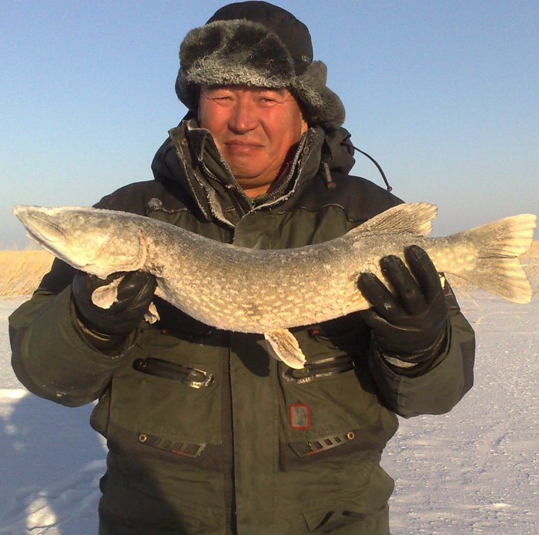 161220144667.jpg
