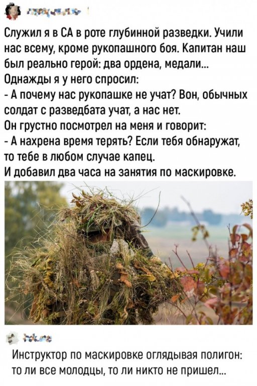 16764326.jpg