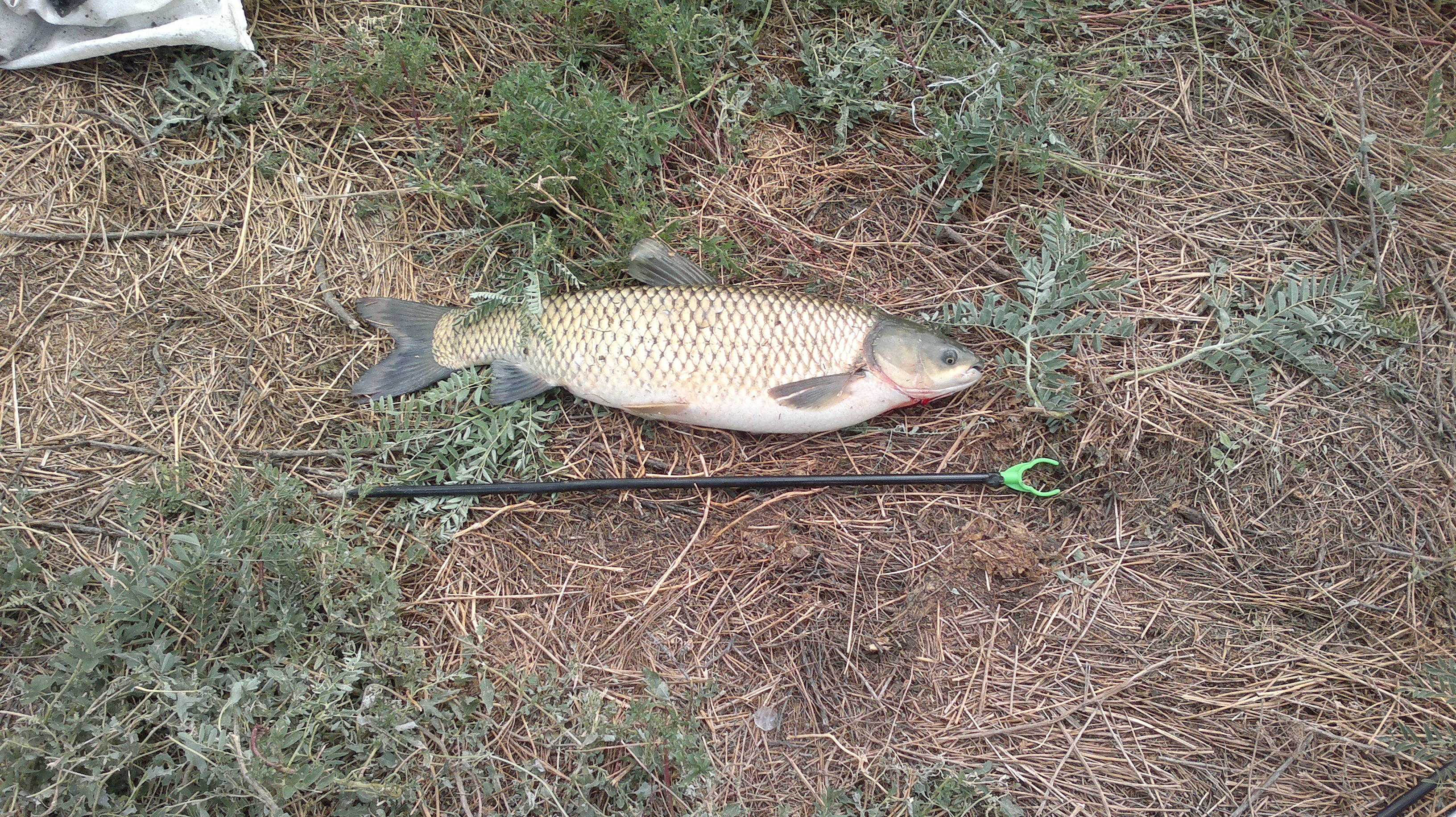 2013-08-04-480.jpg