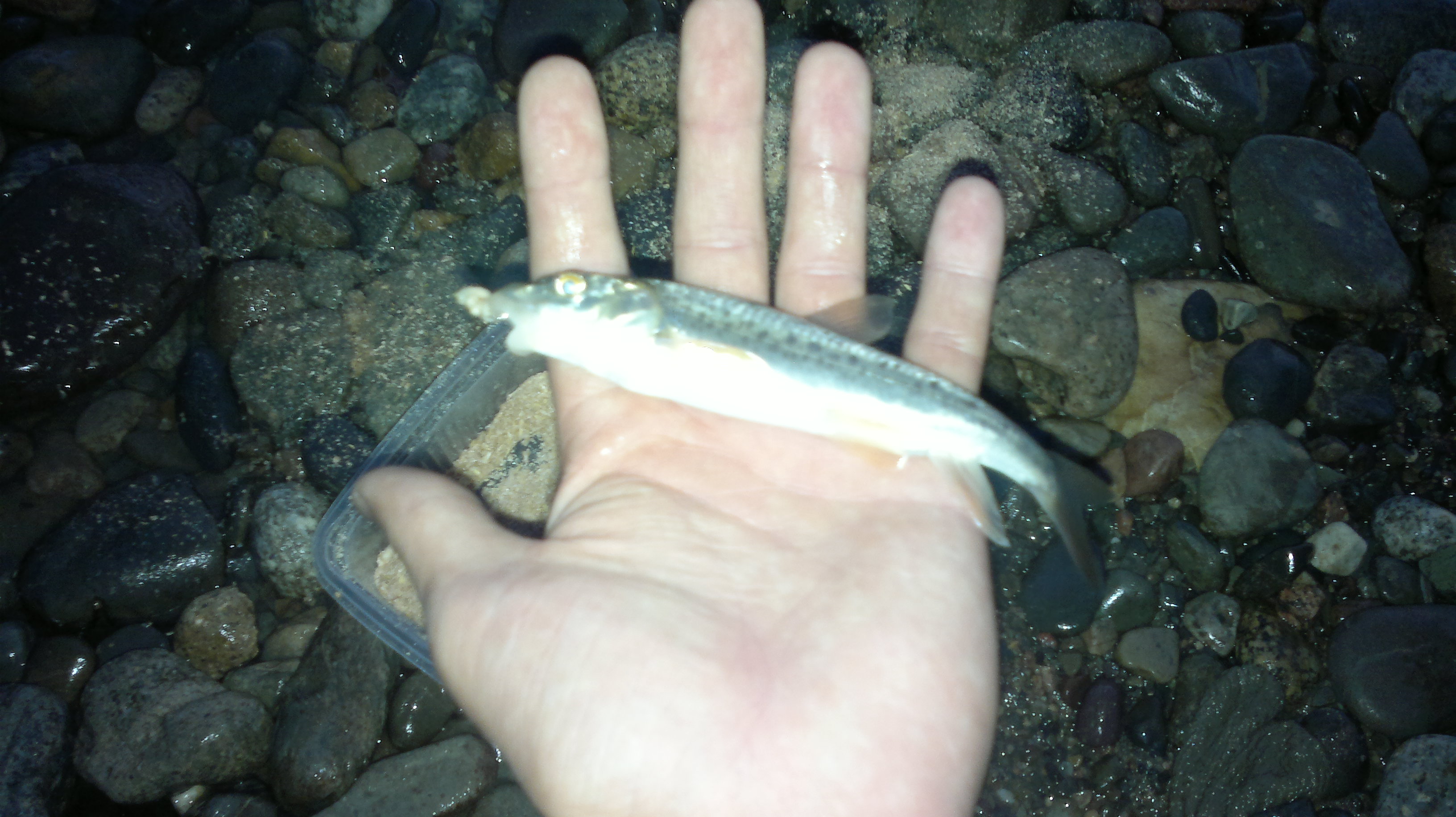 2013-08-06-487.jpg