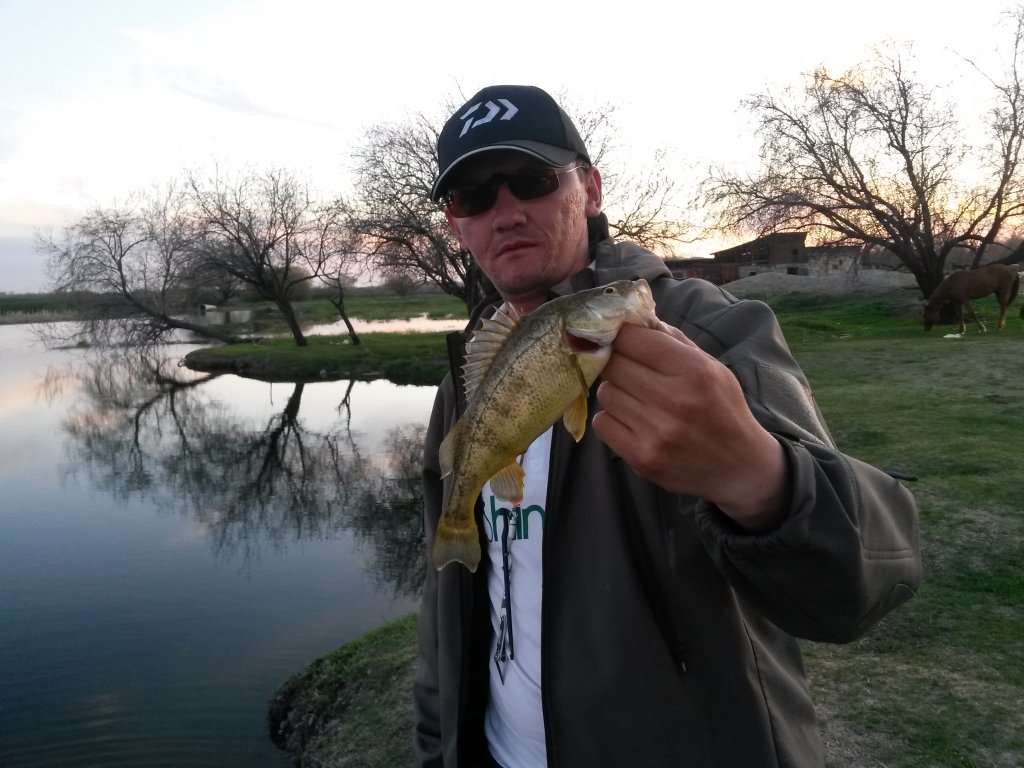 20140501_195202.jpg