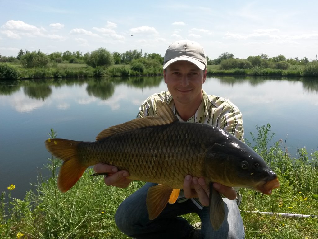 20140614_143954.jpg