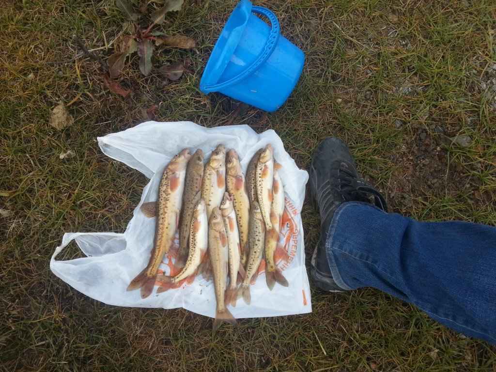 20141019_161954.jpg