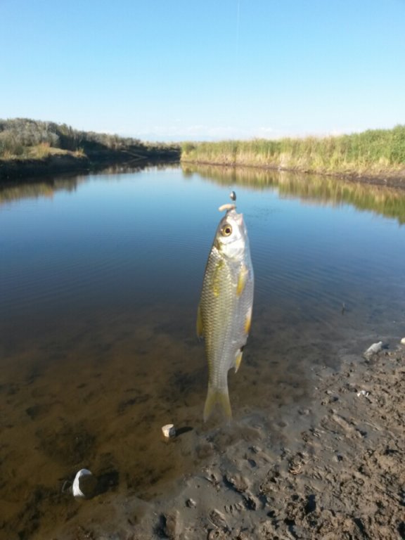 2015-08-31 00.47.25.jpg