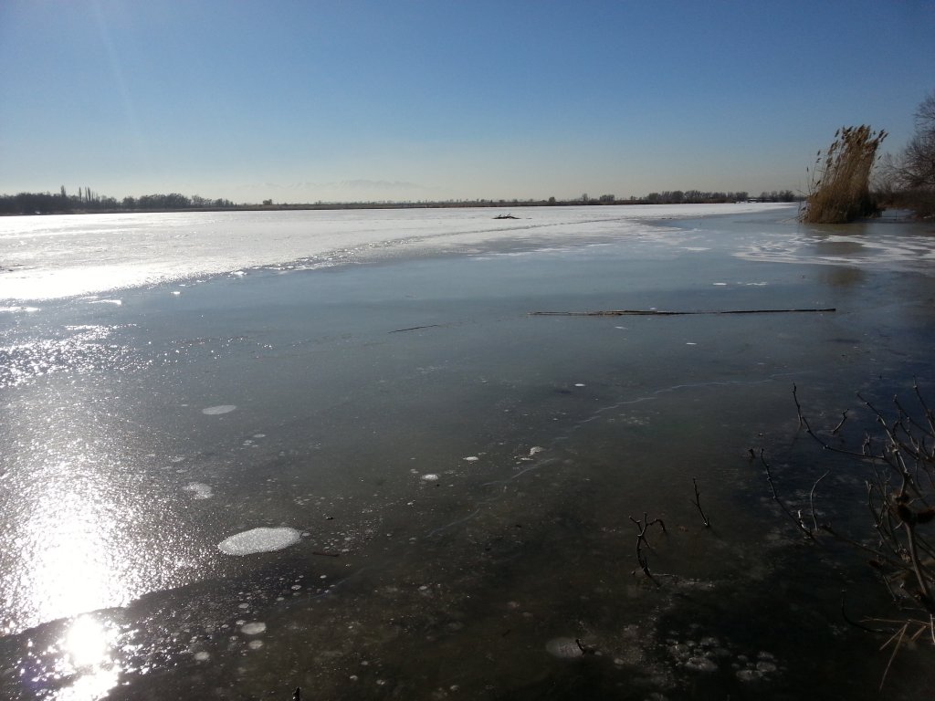 20150214_111741.jpg