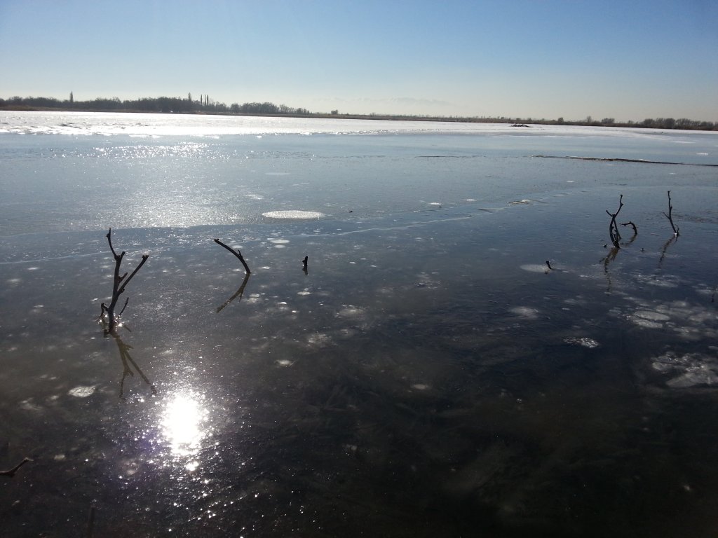 20150214_111755.jpg