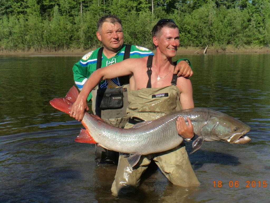 20150618_taimen.jpg
