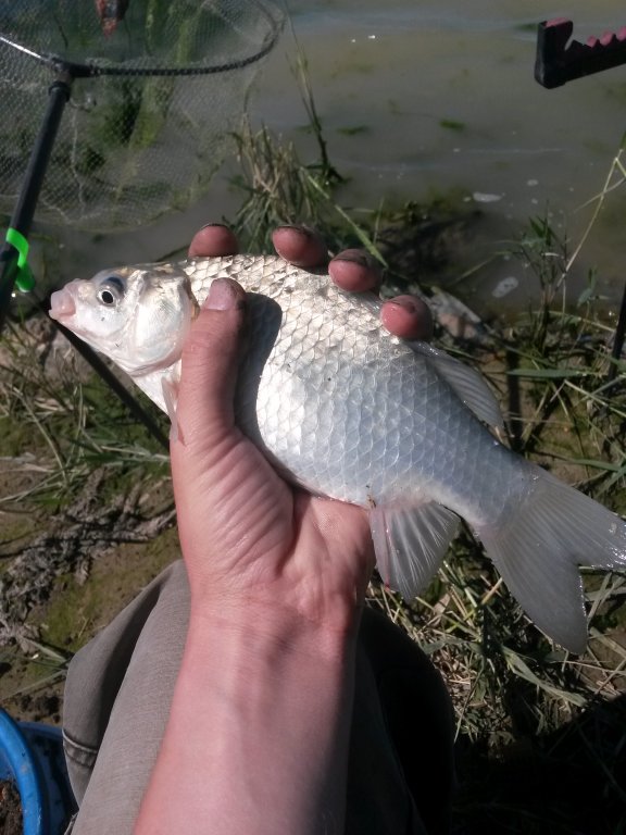 20150815_145330.jpg