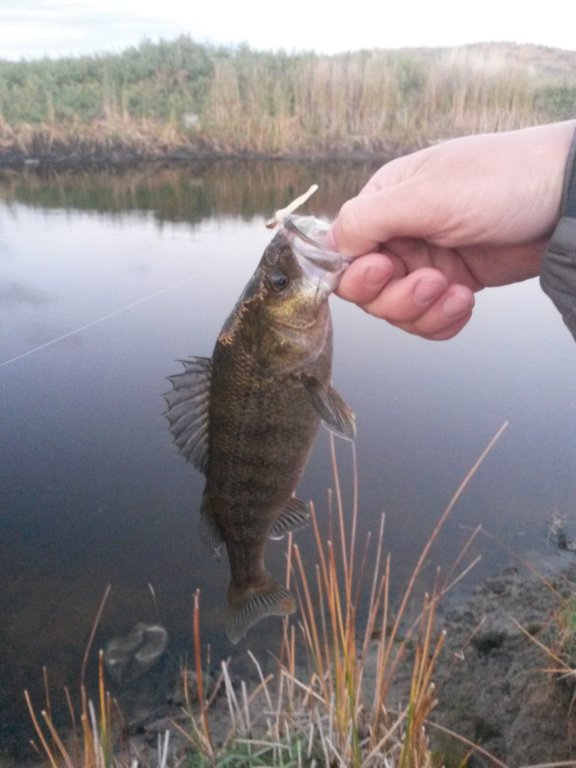 20150913_190931.jpg