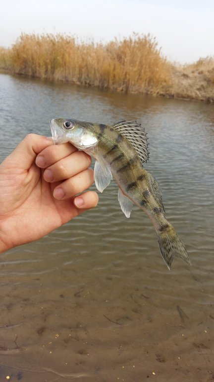 20151010_140411.jpg