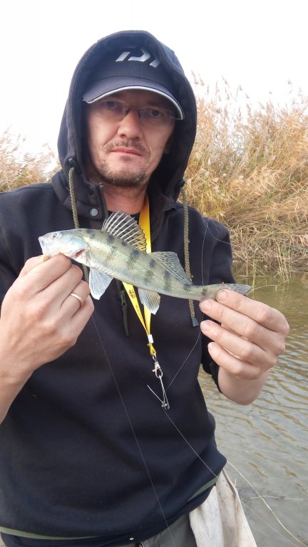 20151010_170822.jpg