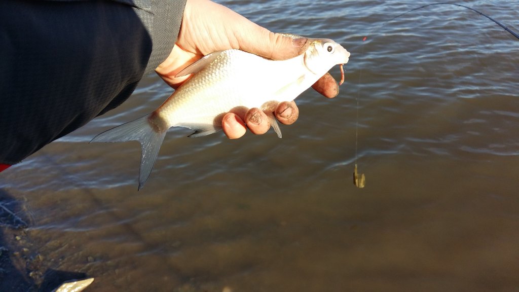 20151121_153251.jpg