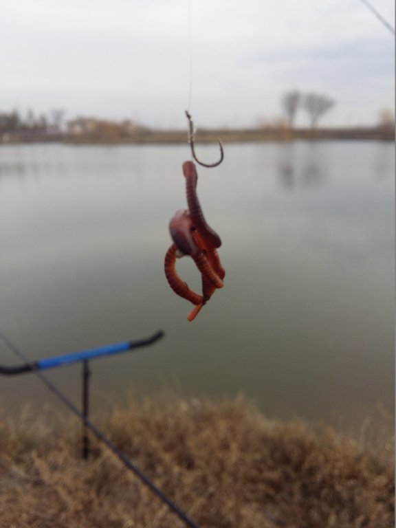 20151205_133116.jpg