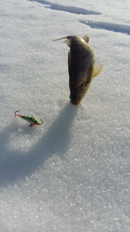 20151231_132748.jpg