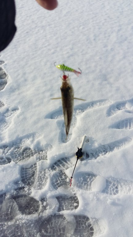 20151231_143037.jpg