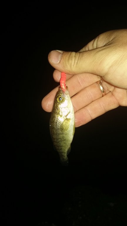 20160321_193239.jpg