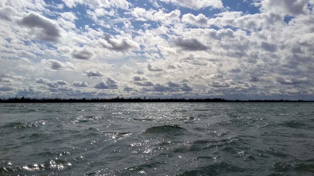 20160331_152307.jpg