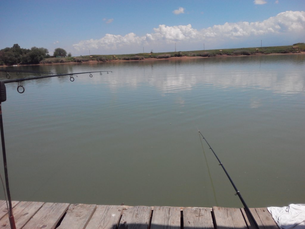 20160524140000.jpg