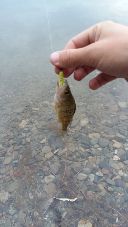 20160616_192808.jpg
