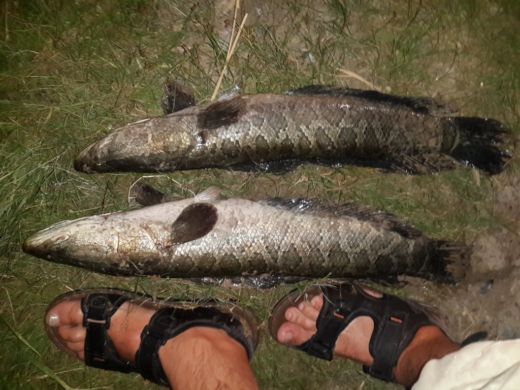 20160724_211714.jpg