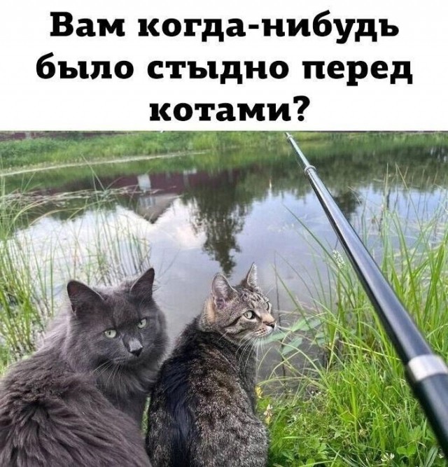 20187491.jpg