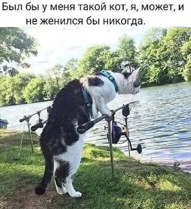 20233182.jpg