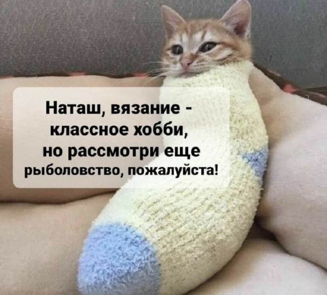 20299526.jpg