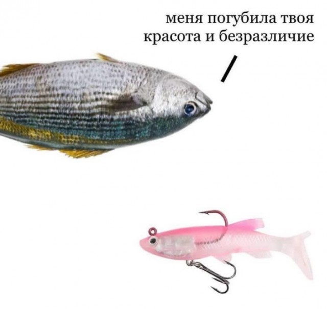 20412782.jpg