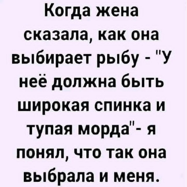 20420023.jpg