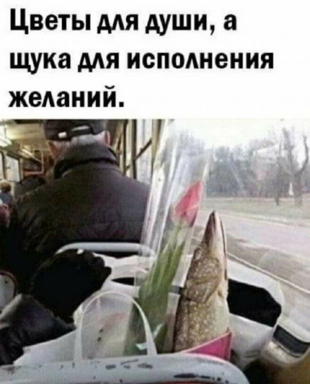 20421755.jpg