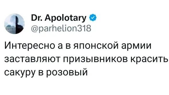 20958593.jpg