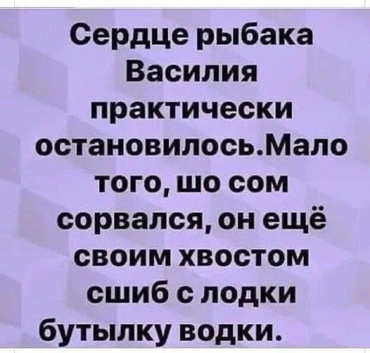 20981410.jpg