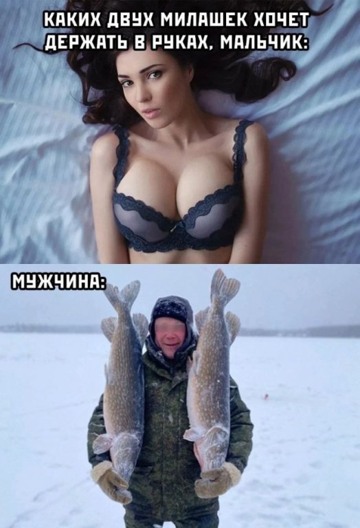 21088031.jpg