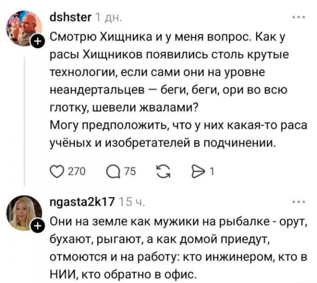 21095184.jpg