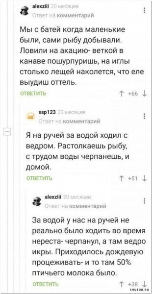 21155536.jpg