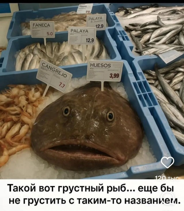 21199495.jpg