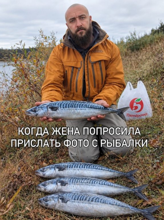 21248743.jpg