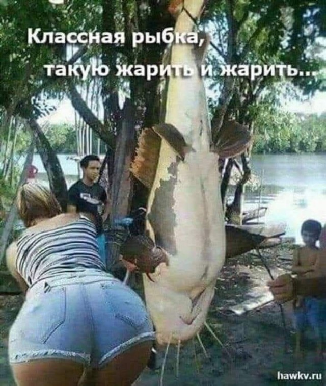 21357581.jpg
