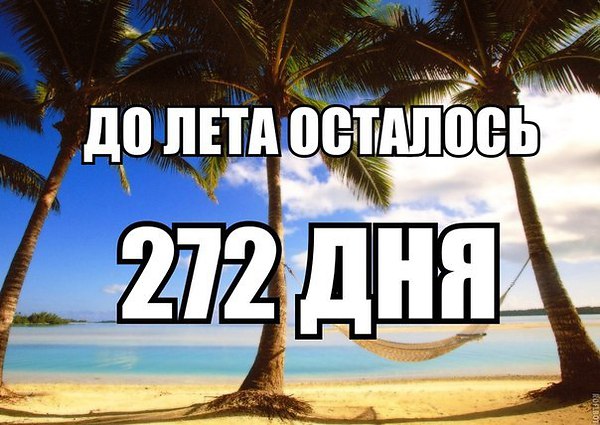 2274133032.jpg