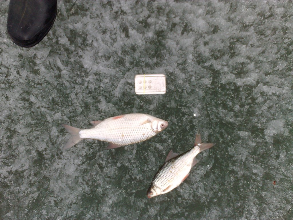 230420155423.jpg