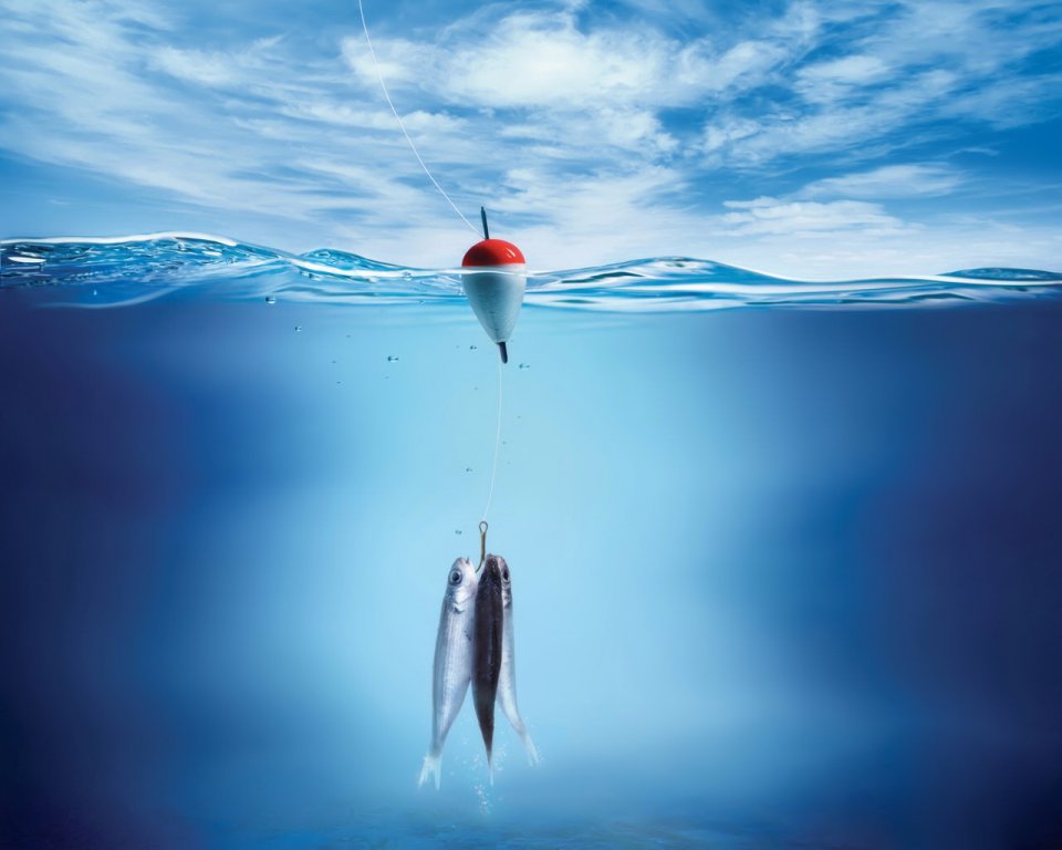 3D-fish_.jpg