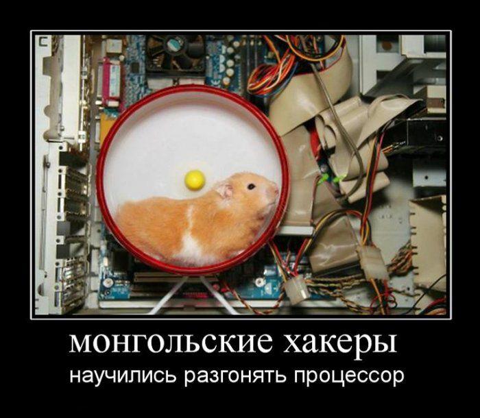 93.jpg