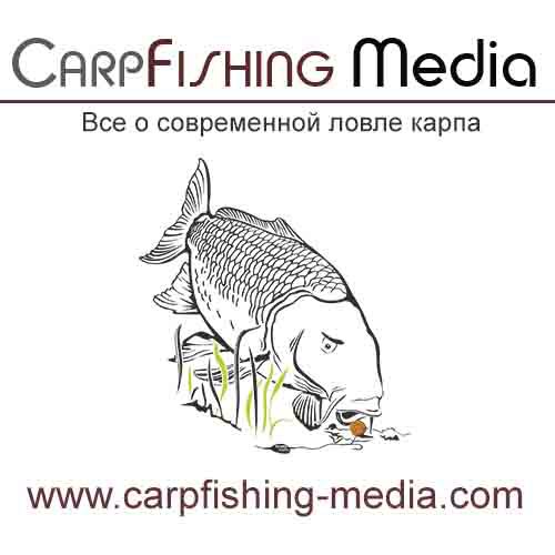CArp Media.jpg