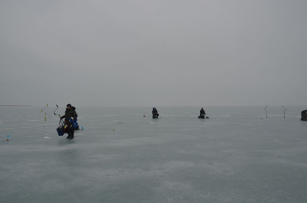 DSC_0095.jpg