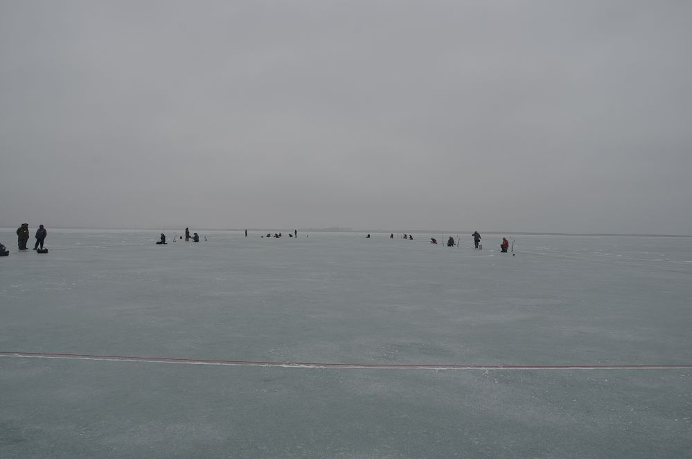 DSC_0100.jpg